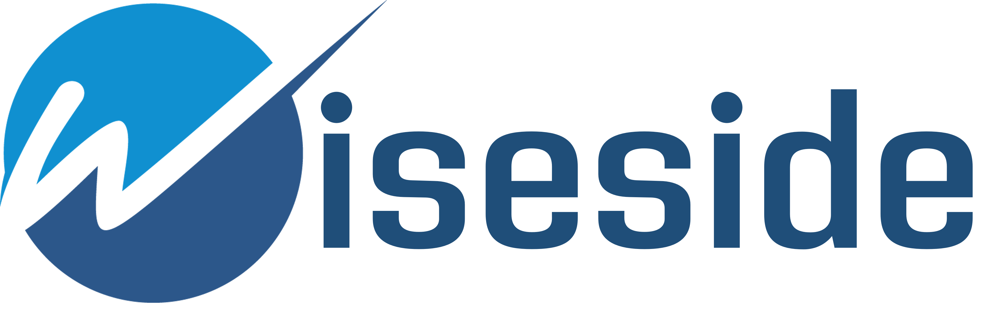 Wiseside