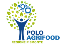 logo (1)