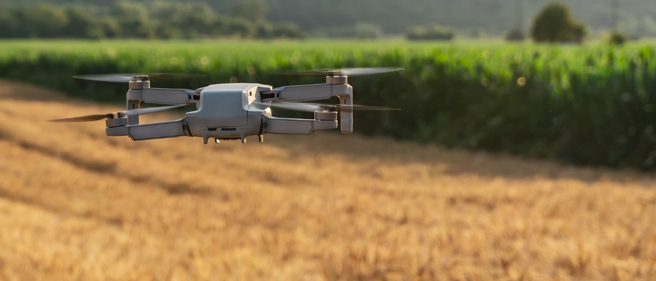 Spreco alimentare zero l'IoT e l’ottimizzazione della logistica come alleati